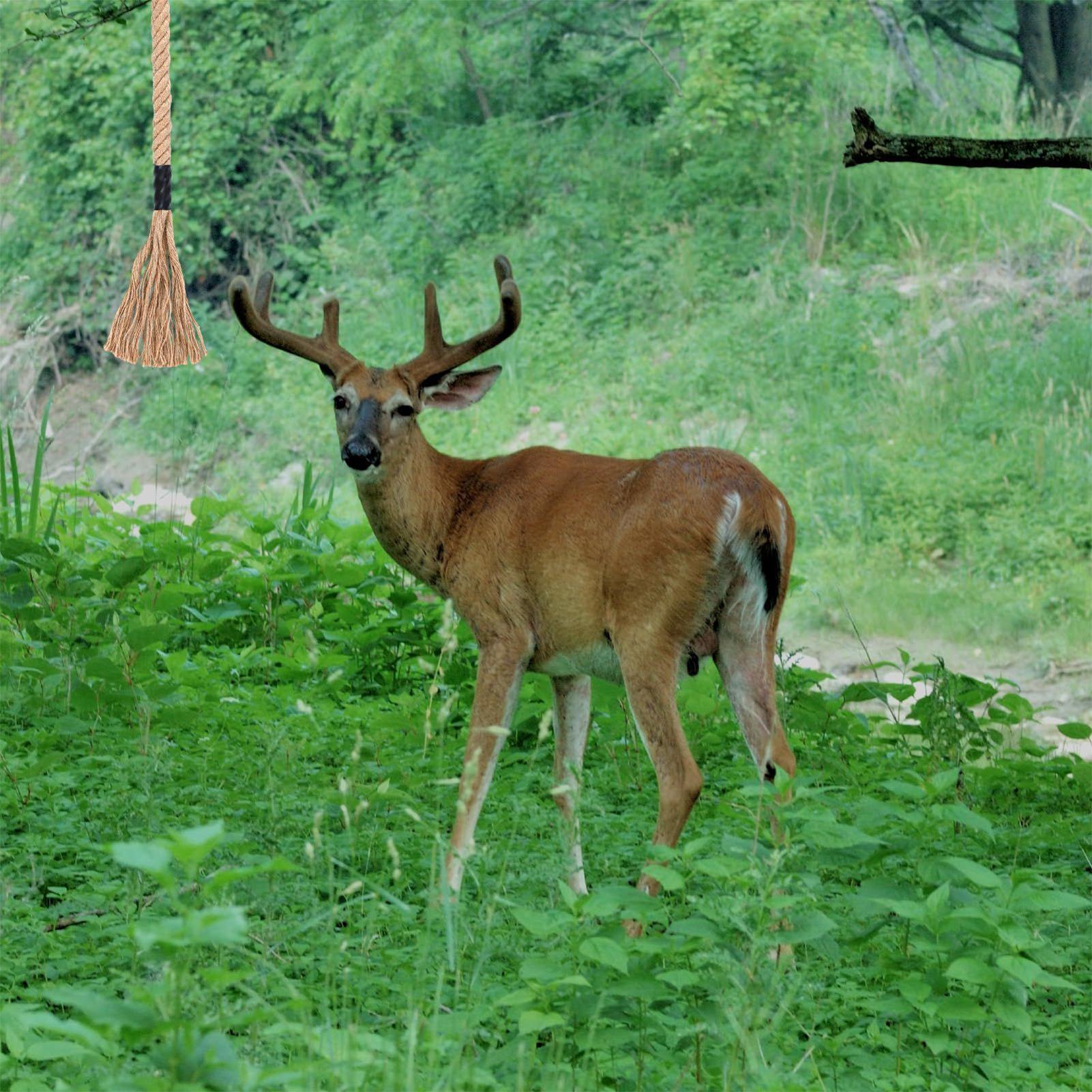 Deer Scrape Effective Long-Las – обзор и цена Deer Attractant Scent